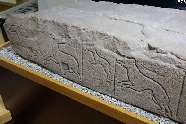 Hunting dogs chasing deer carved on Pictish story stone at St Vigeans Museum. Arbroath, Scotland.