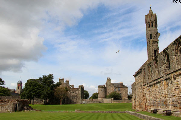 Outer wall of nave of St Andrews Cathedral, from cloister looking back on town. St Andrews, Scotland.