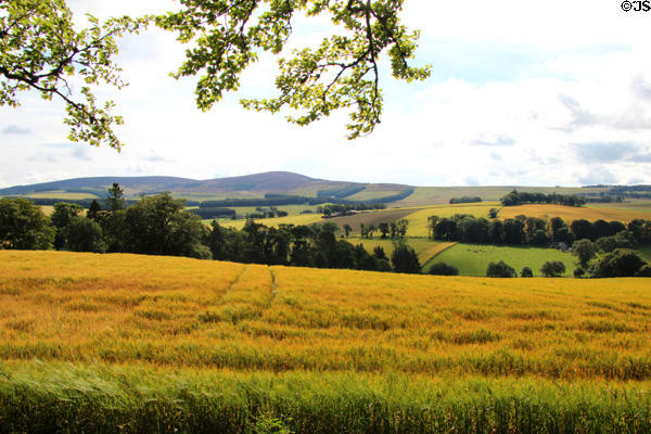 Countryside seen from Craigievar Castle. Alford, Scotland.