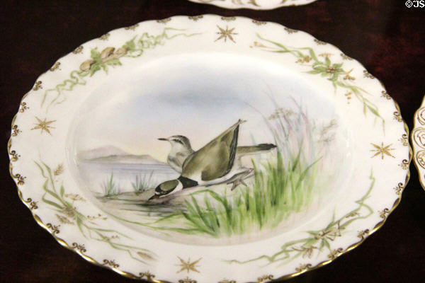 Canadian birds painted on porcelain plate of set given by Canadian Parliament to Countess of Aberdeen at Haddo House. Methlick, Scotland.