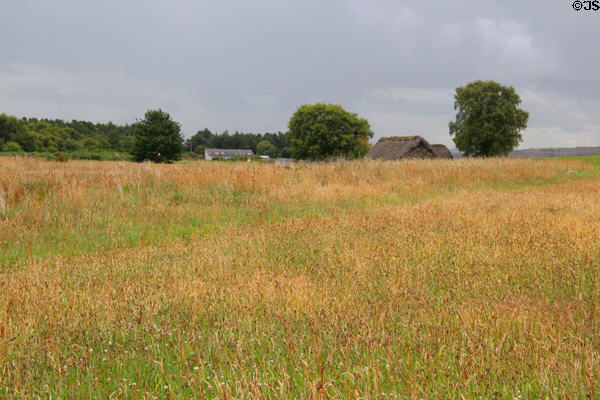 Culloden Battlefield run as museum by National Trust for Scotland (NTS). Culloden Moor, Scotland.
