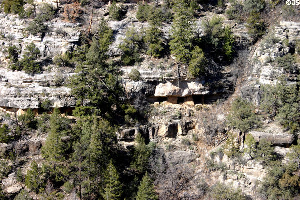 Row of caves in canyon wall lured natives to area of Walnut Canyon National Monument. AZ.