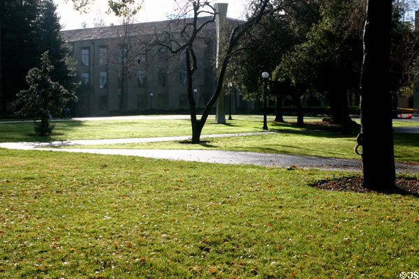 Early morning light across quadrangle of Stanford University. Palo Alto, CA.