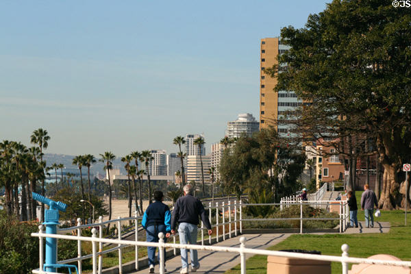 Park along beach in eastern residential section of Long Beach. Long Beach, CA.