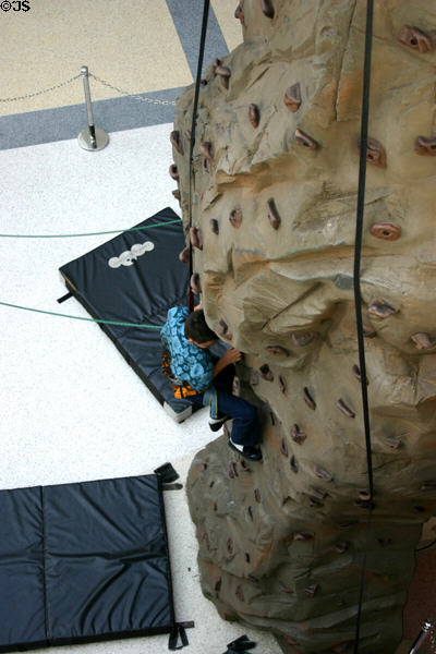 Rock climbing wall in California Science Center. Los Angeles, CA.