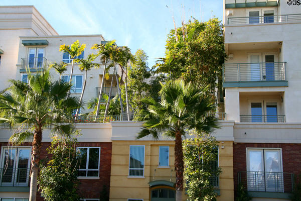 Beverly Hills condos on Crescent Dr. Beverly Hills, CA.