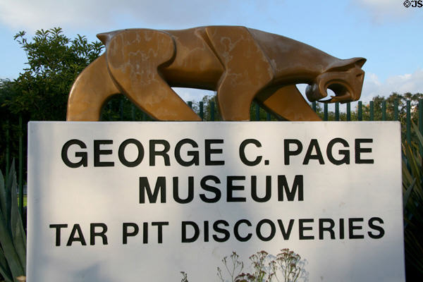 Stylized Saber Tooth Tiger symbol of Page Museum & La Brea Tar Pits. Los Angeles, CA.