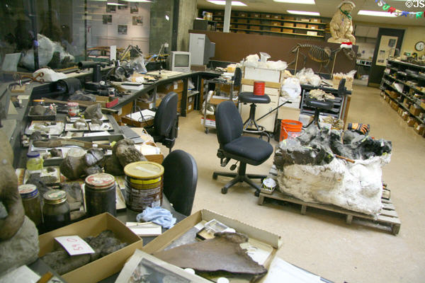 Open fossil prep room at Museum of La Brea Tar Pits. Los Angeles, CA.