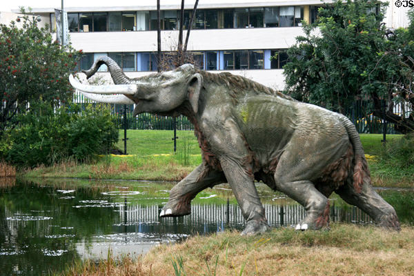 American Mastodon statue at La Brea Tar Pits. Los Angeles, CA.