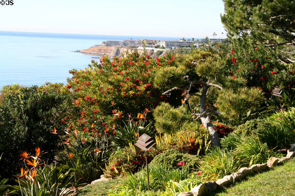 View of Portuguese Bend area from Wayfarers Chapel. Rancho Palos Verdes, CA.