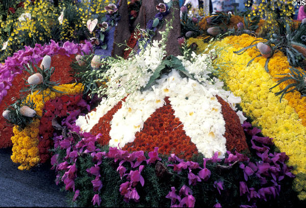 Flowers detail of Rose Parade float. Pasadena, CA.