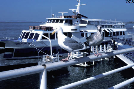 Ferry docked at Ferry Building. San Francisco, CA.