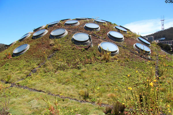 Living roof with round skylights atop California Academy of Science. San Francisco, CA.