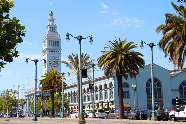 Ferry Building beyond palm trees. San Francisco, CA.
