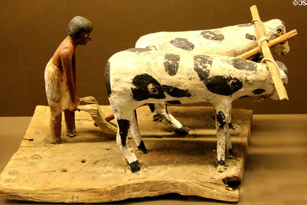 Plowing man wood tomb carving (Dynasty 12 - c1991-1802 BCE) at Rosicrucian Egyptian Museum. San Jose, CA.