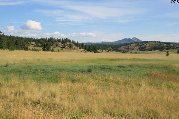 Landscape of Florissant Fossil Beds National Monument. CO.