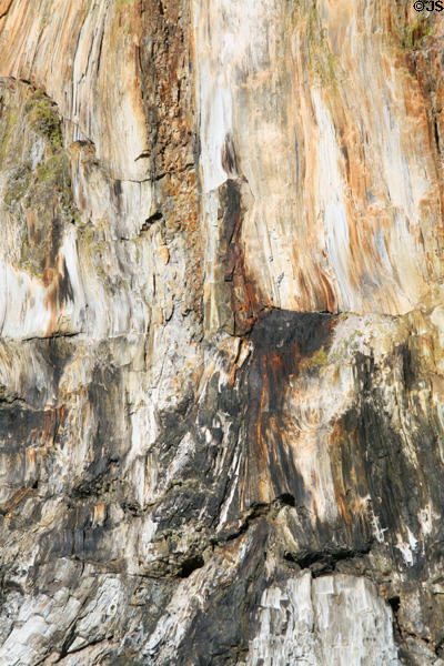 Surface detail of fossilized redwood tree trunk at Florissant Fossil Beds National Monument. CO.