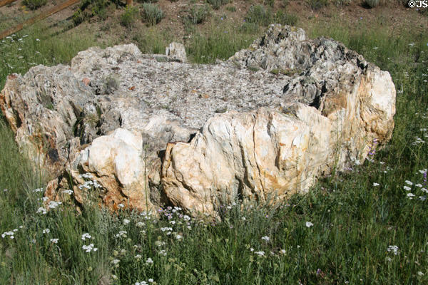 Fossilized redwood tree trunk at Florissant Fossil Beds National Monument. CO.