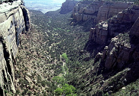 Rocky canyon in Colorado National Monument. CO.