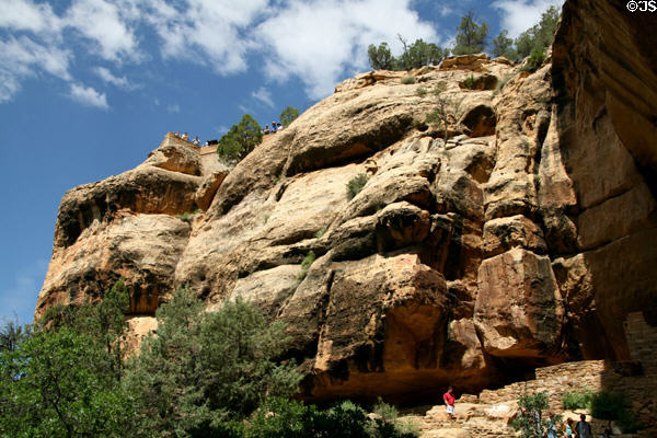 View of mesa top from Cliff Palace in Mesa Verde National Park. CO.
