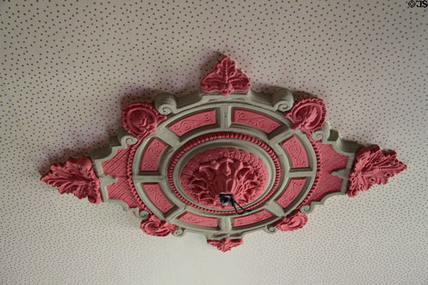 Ceiling medallion at Frank Bloom Mansion. Trinidad, CO.