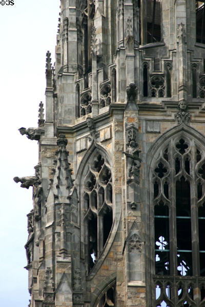 Gargoyles of Harkness Tower. New Haven, CT.