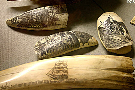 Collection of scrimshaw at Lightner Museum. St Augustine, FL.