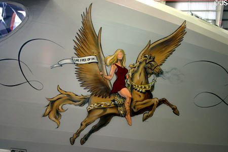 Live Free or Die artwork on Fairchild 24R at Wings Over Miami Air Museum. Miami, FL.