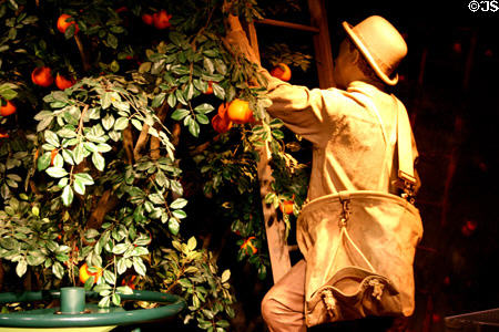 Sculpture of orange picker in industry section of Orange County Regional History Center. Orlando, FL.