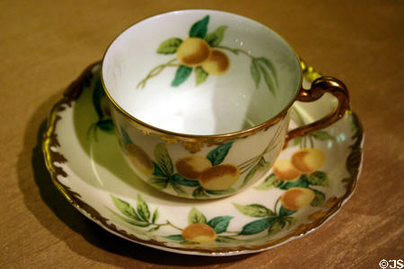 Souvenir cup & saucer with oranges in Museum of Florida History. Tallahassee, FL.