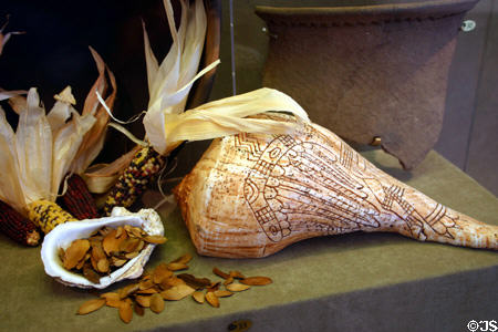Replica of engraved native shell dipper at San Luis Historic Site. Tallahassee, FL.