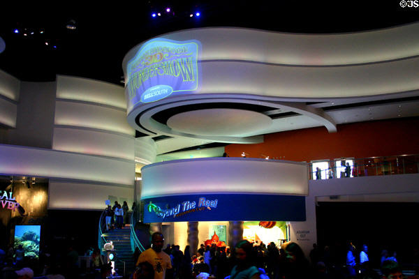 Lighted main hall of Georgia Aquarium. Atlanta, GA.