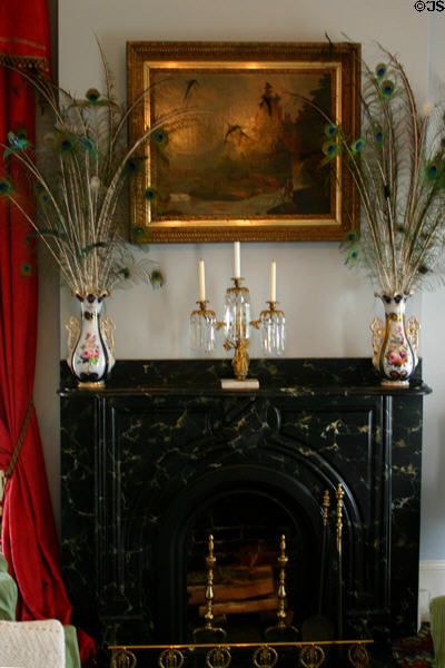 Living room fireplace of Woodrow Wilson Boyhood Home. Augusta, GA.