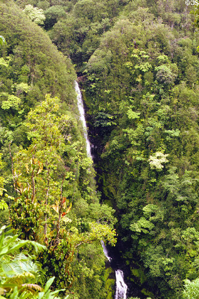 Kahuna Falls near Akaka Falls, west of Hilo. Big Island of Hawaii, HI.