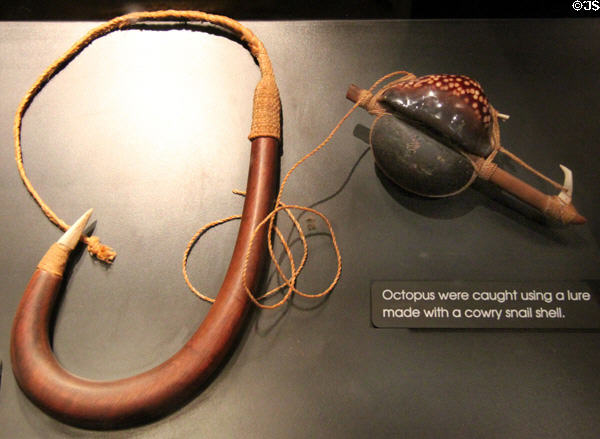 Native Hawaiian shark hook & octopus lure with cowry shell at Waikiki Aquarium. Waikiki, HI.