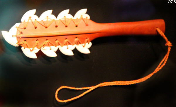 Native Hawaiian wooden hand club with tiger shark teeth at Waikiki Aquarium. Waikiki, HI.