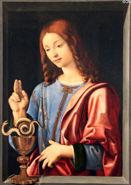St John the Evangelist painting (1504-6) by Piero di Cosimo at Honolulu Academy of Arts. Honolulu, HI.