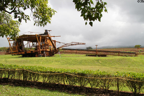 Infield pineapple harvester at Dole Plantation. HI.