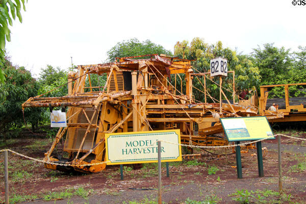 Model B pineapple harvester at Dole Plantation. HI.