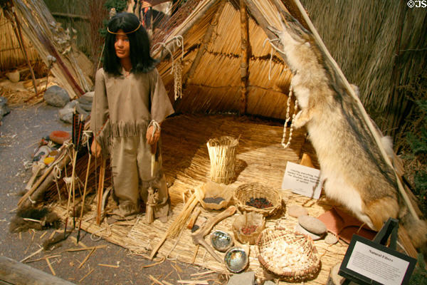 Recreation of Shoshone encampment as would have been seen by Lewis & Clark at Museum of Idaho. Idaho Falls, ID.