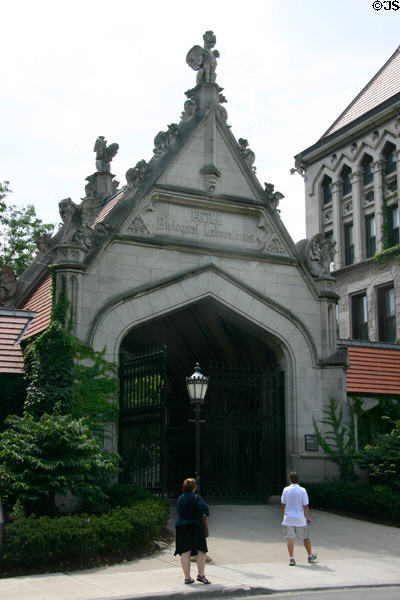 Hull Biology Laboratories gateway between Anatomy & Zoology buildings (1101 East 57th St.) of University of Chicago. Chicago, IL.