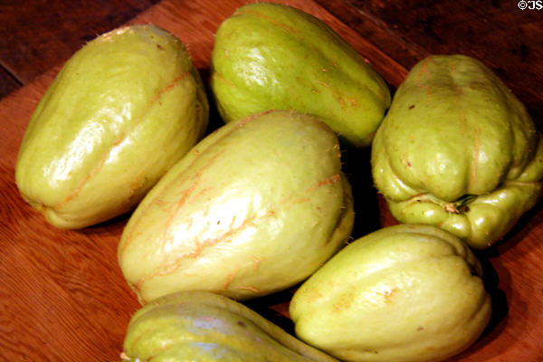 Mirliton squash [aka vegetable pears] at Destrehan Plantation. Destrehan, LA.