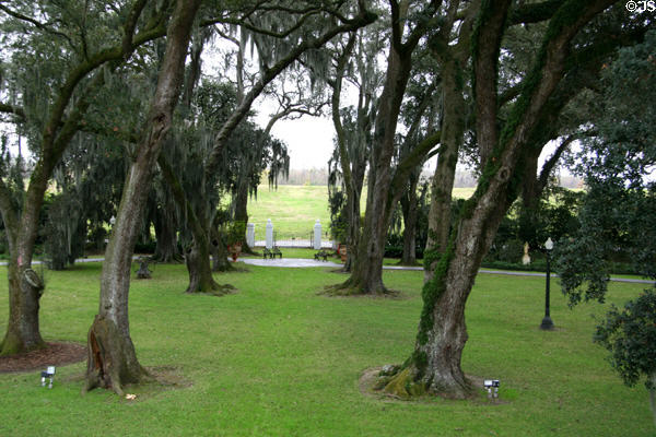 View from Houmas House to dike of Mississippi River. Burnside, LA.