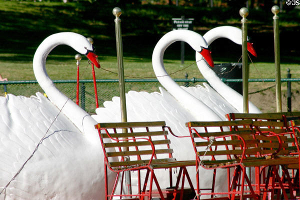 Swan boats on Boston Common. Boston, MA.