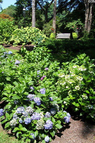 Gardens of Sandwich Heritage Plantation. Sandwich, MA.