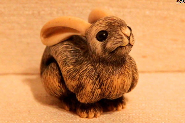 Japanese ivory rabbit netsuke (1773-1856 C) at Peabody Essex Museum. Salem, MA.