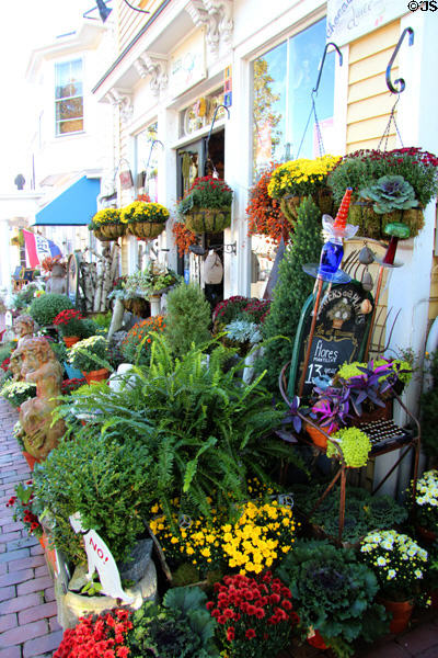 Flowers on Marblehead street. Marblehead, MA.