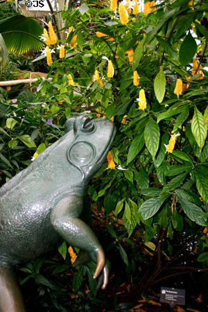 Bronze toad in a tropical garden in Meijer Garden. Grand Rapids, MI.