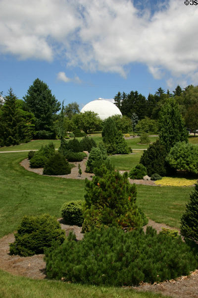 Evergreen plants at Hidden Lake Gardens. MI.