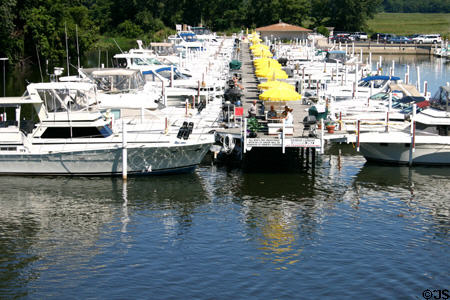 Yacht harbor. New Buffalo, MI.